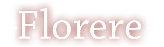 Florere Bureau voor Werk & Loopbaan
