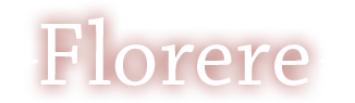 Florere Executive Search & Recruitment